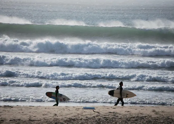 Oportowaves