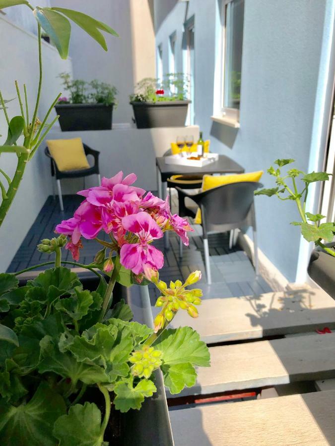 Appartement Oportowaves *
